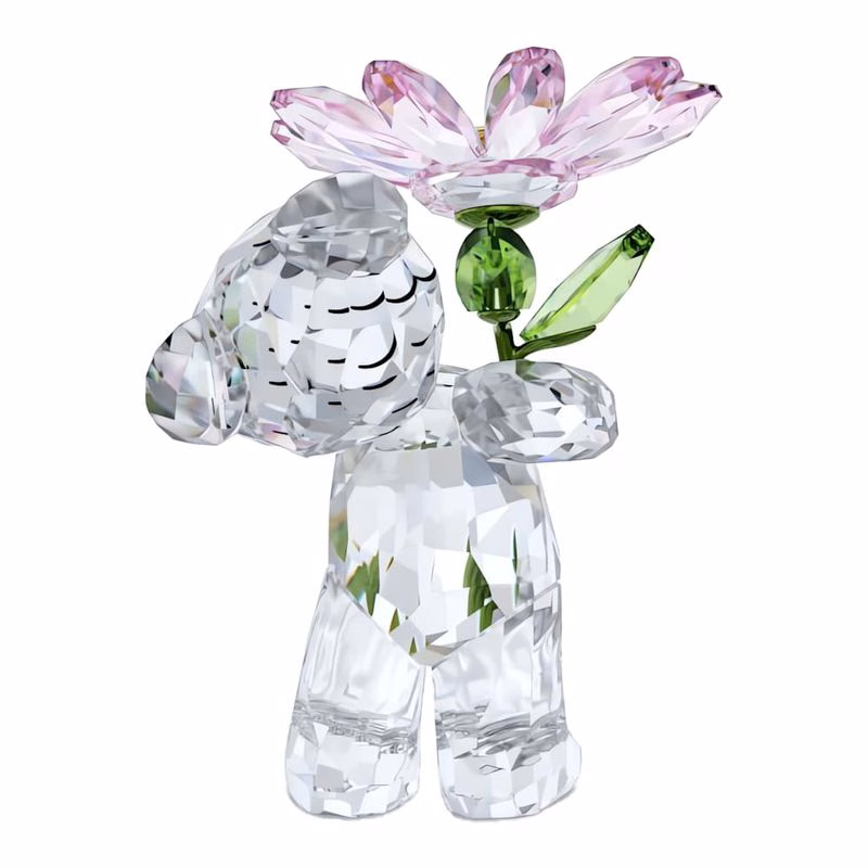 Kris Bär, eine Gänseblümchen für dich