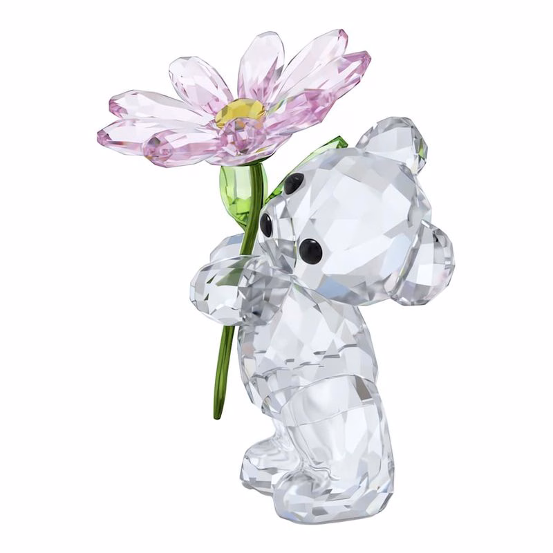 Kris Bär, eine Gänseblümchen für dich